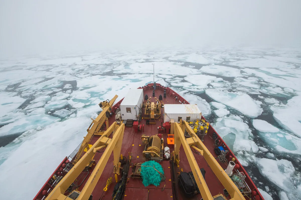 Image of the Amundsen research expedition to the Canadian Arctic.