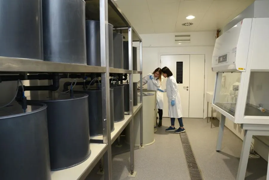 Aquaculture facilities at the University of Edinburgh.