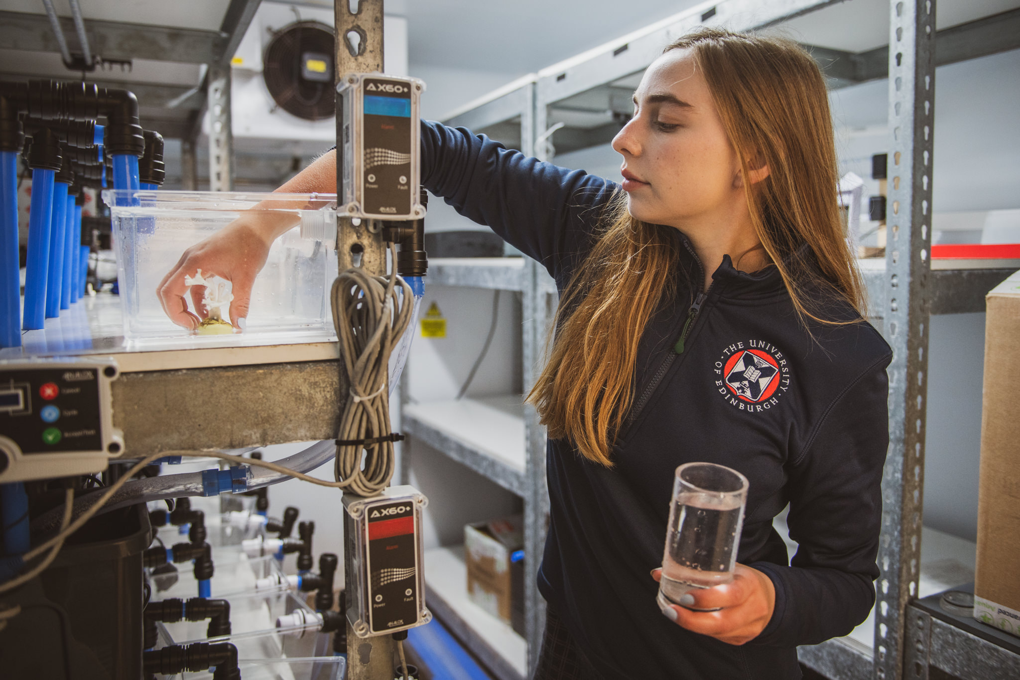 Kelsey Archer Barnhill at St Abbs Marine Station undertaking experiments on corals.