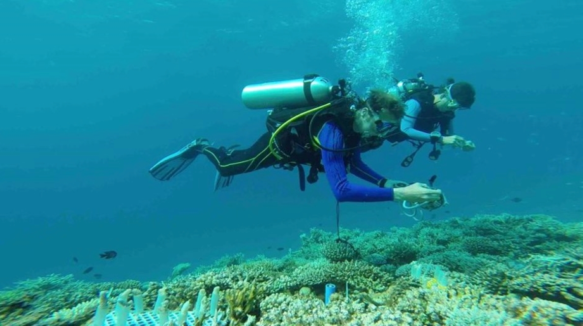 A lecturer and student underwater using SCUBA gear.